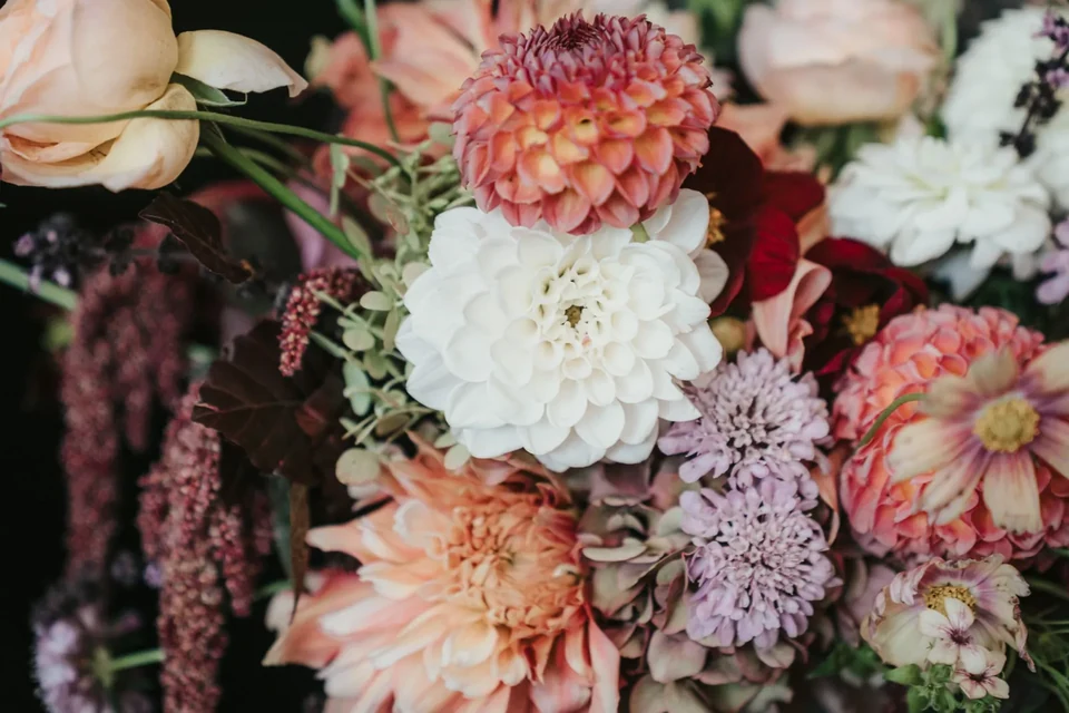 Dolomites Elopement with Three Locations